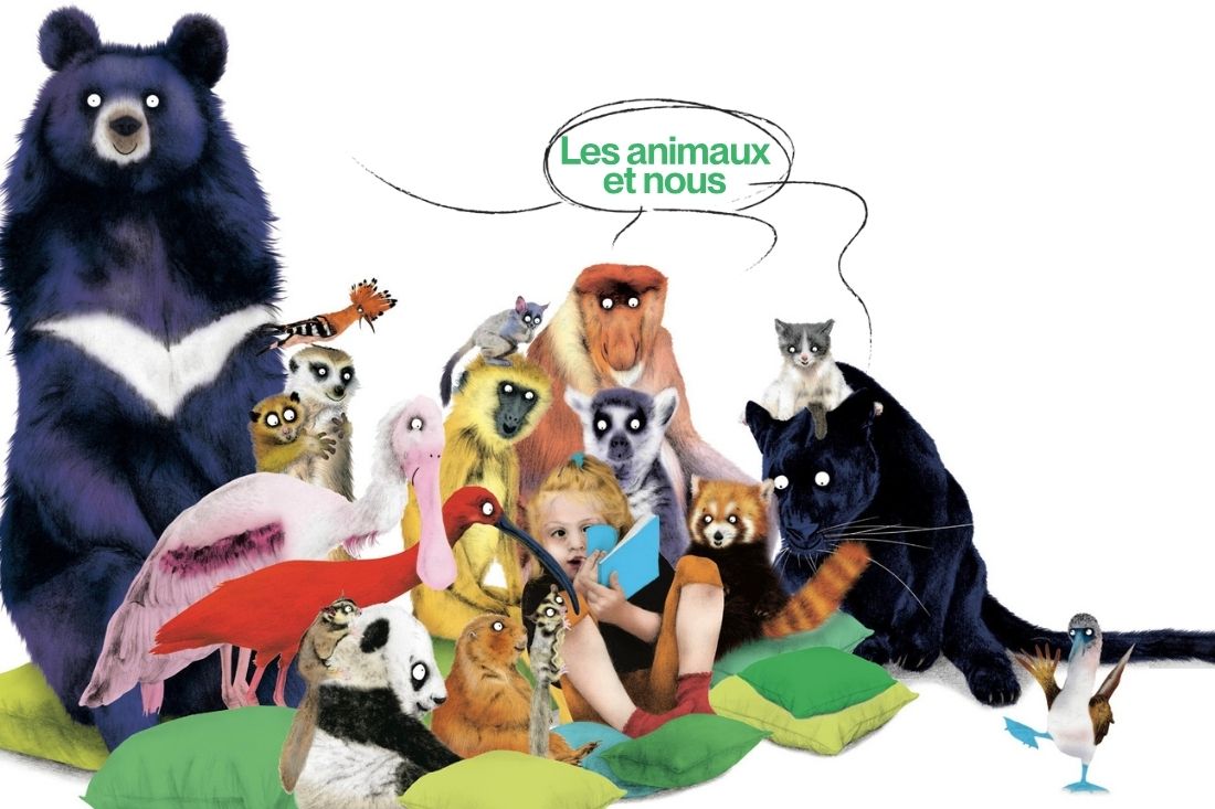 Des animaux (lémurien, ours, chat, flamnat rose, panda...) avec une bulle au dessus avec écrit "les animaux et nous"